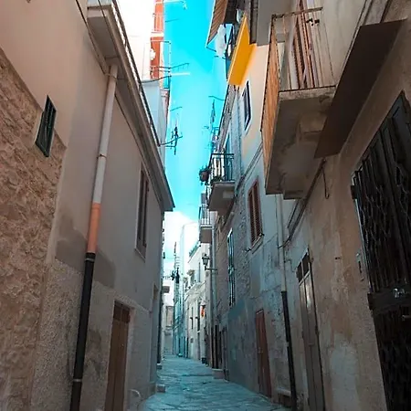 Il Vicolo -